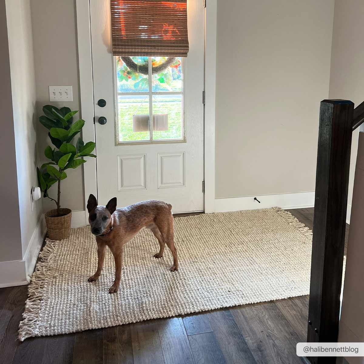 Senneterre Bleached Jute Rug by Boutique Rugs