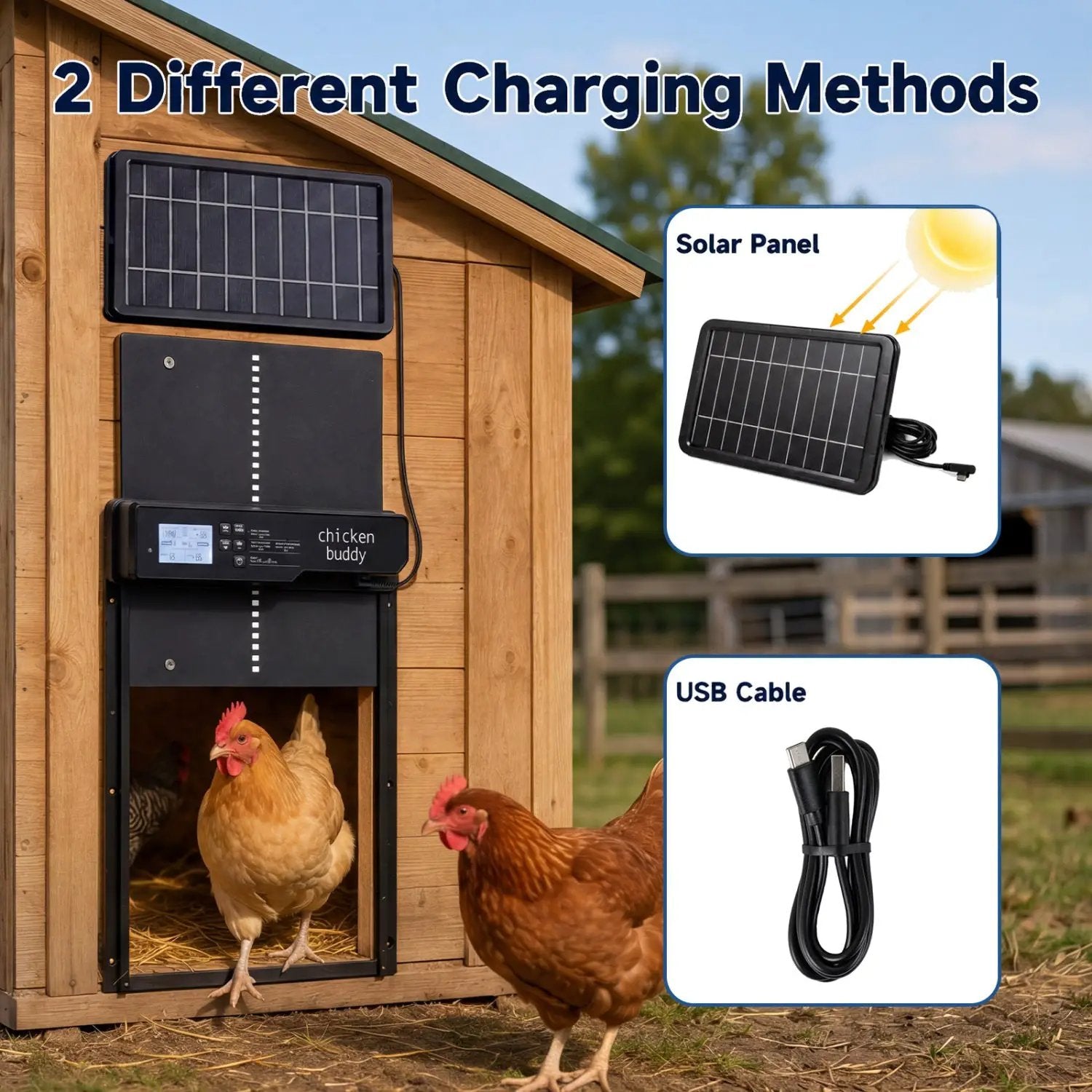 Solar Powered Automatic Chicken Coop Door with Remote Control by DirectDeals