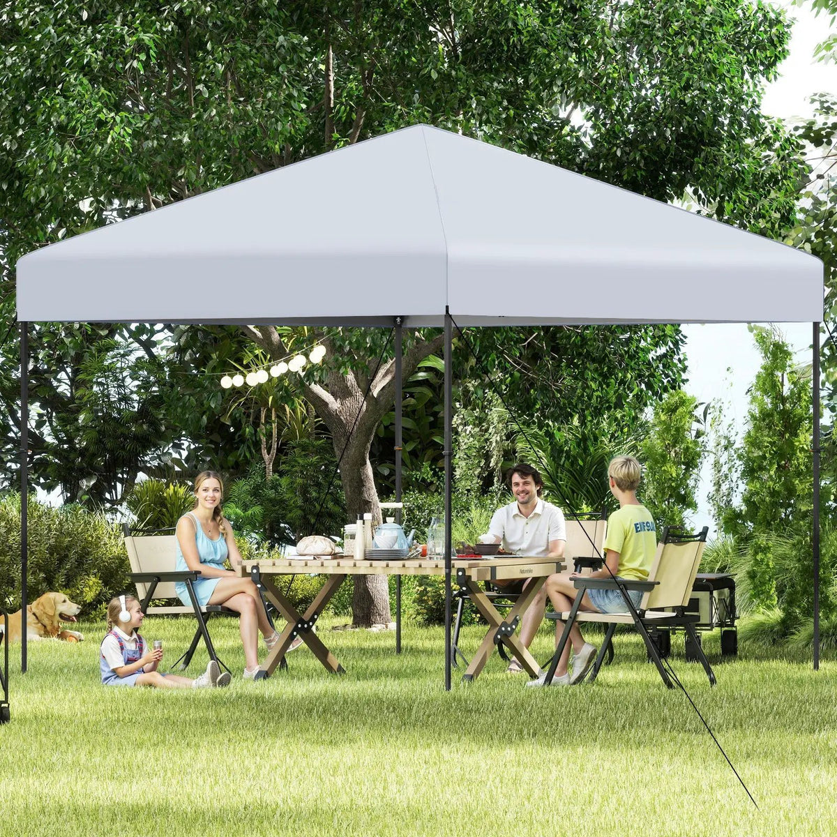10 X 10 Feet Pop up Canopy Tent with Portable Carrying Bag and 8 Stakes by DirectDeals