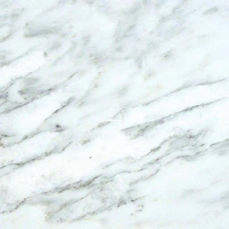 Arabescato Carrara Polished Marble Tiles 12x12 by MSI Surfaces