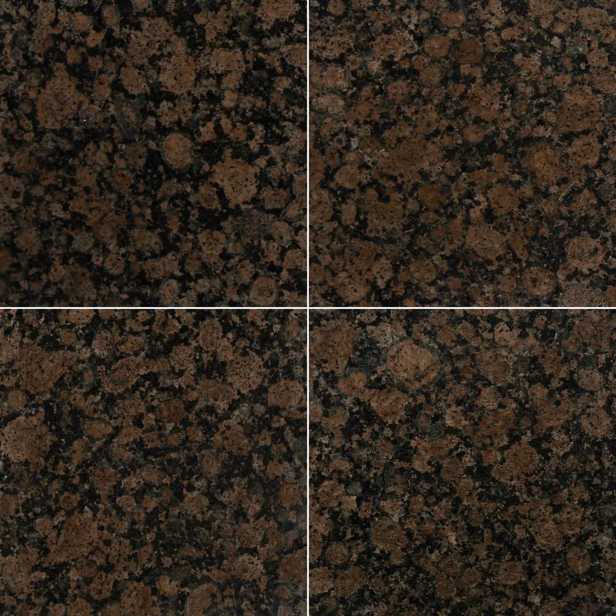 Baltic Brown Polished Granite Tiles 12x12 by MSI Surfaces