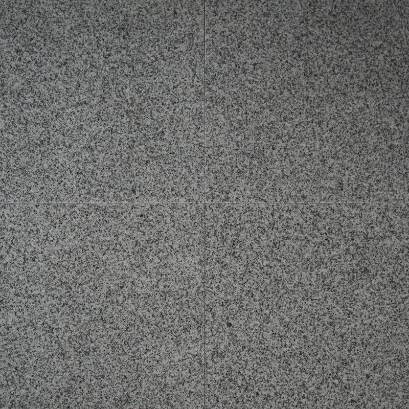 Bianco Catalina Polished Granite Tiles 12x12 by MSI Surfaces