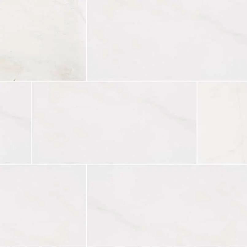 Bianco Dolomite Honed Marble Tiles 12x24 close up