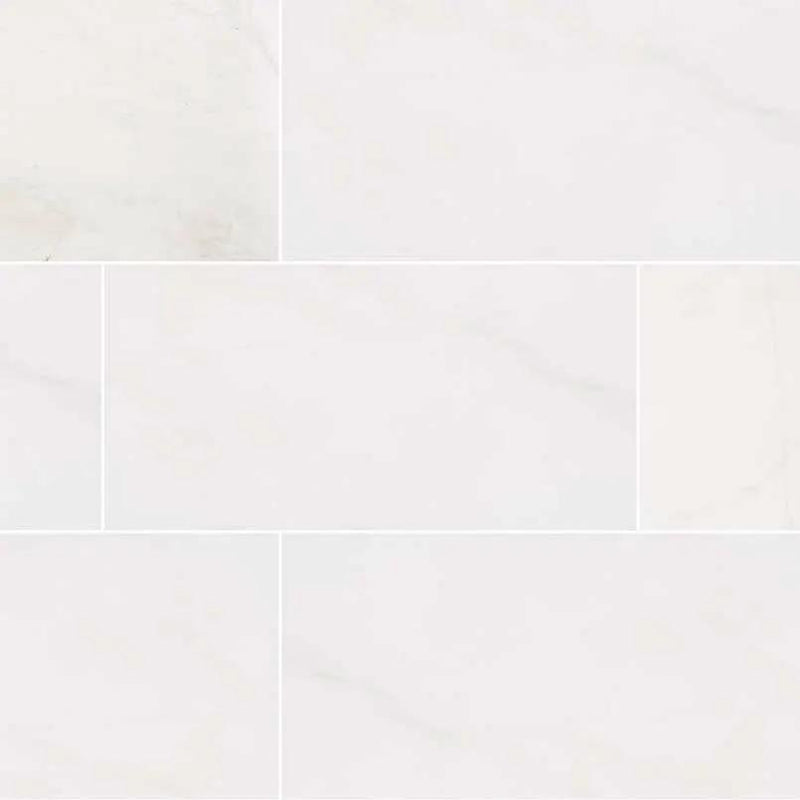 Bianco Dolomite Honed Marble Tiles 12x24 close up