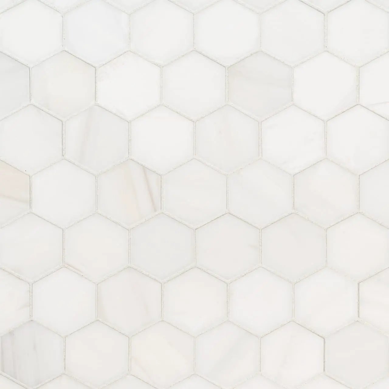 Bianco Dolomite Polished Marble Tiles 12x24 close up