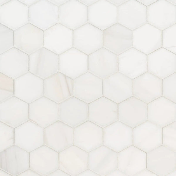 Bianco Dolomite Polished Marble Tiles 12x24