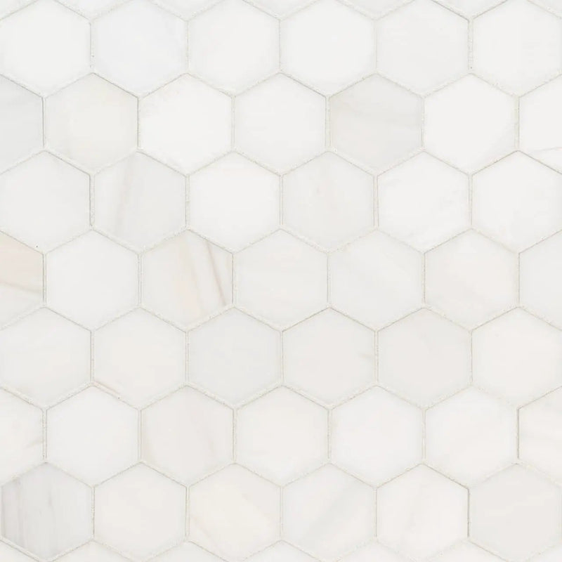 Bianco Dolomite Polished Marble Tiles 12x24 close up