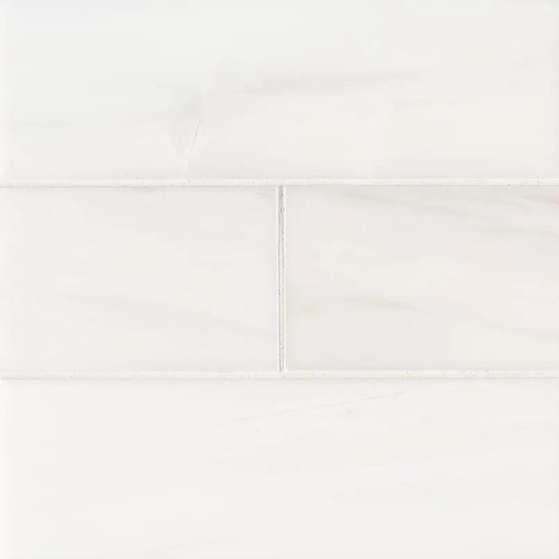 Bianco Dolomite Subway Tile 4x12 Polished Marble Mosaics close up