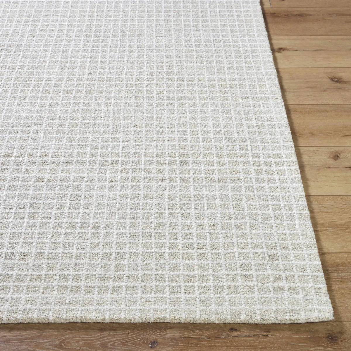 Anahid Bone Area Rug, photo 11 of 11
