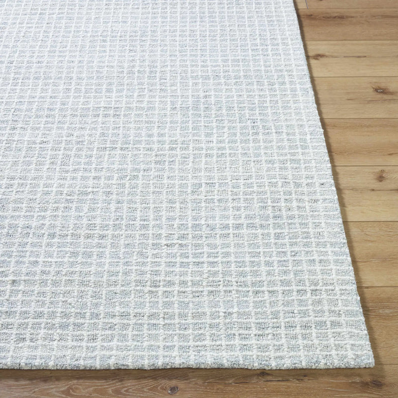 Anahid Soft Blue Area Rug by Boutique Rugs
