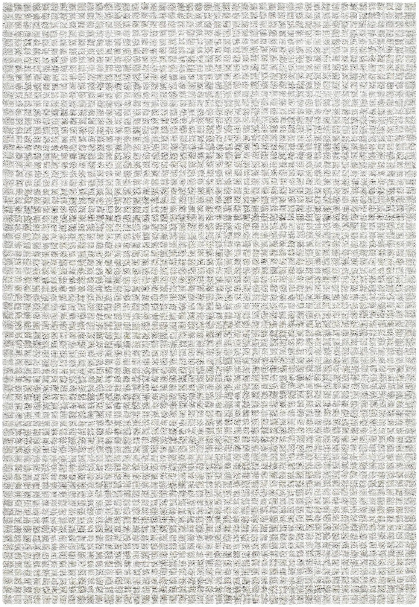 Anahid Gray Area Rug by Boutique Rugs