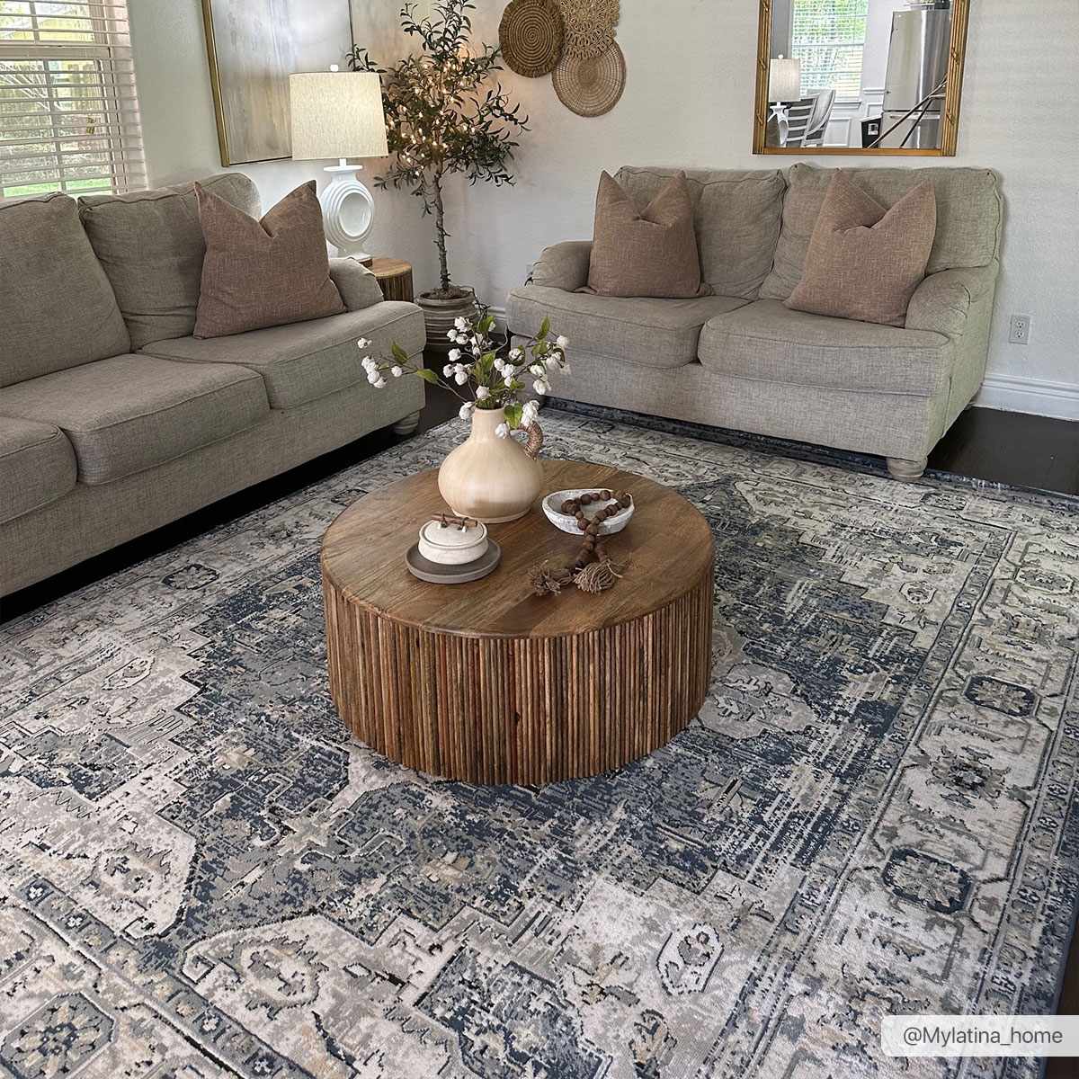 Telina Area Rug by Boutique Rugs
