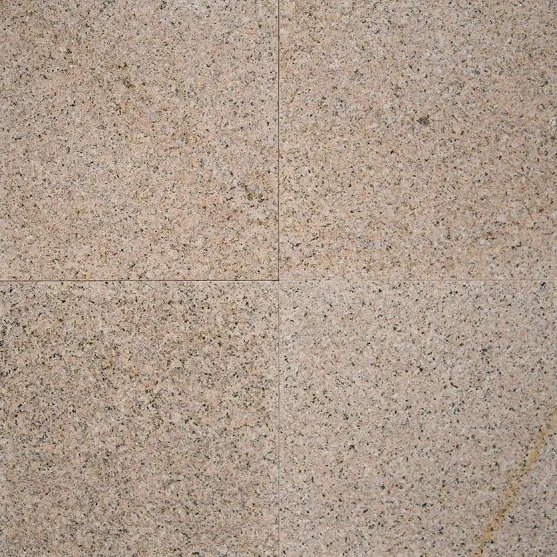 Giallo Fantasia Polished Granite Tiles 12x12 by MSI Surfaces