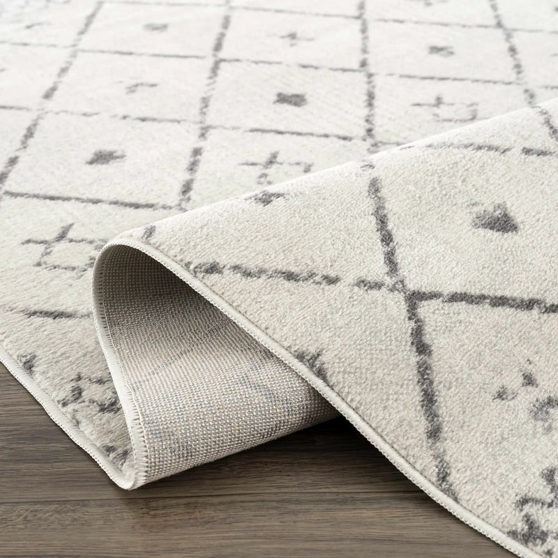 Tigris Area Rug - Clearance by Boutique Rugs