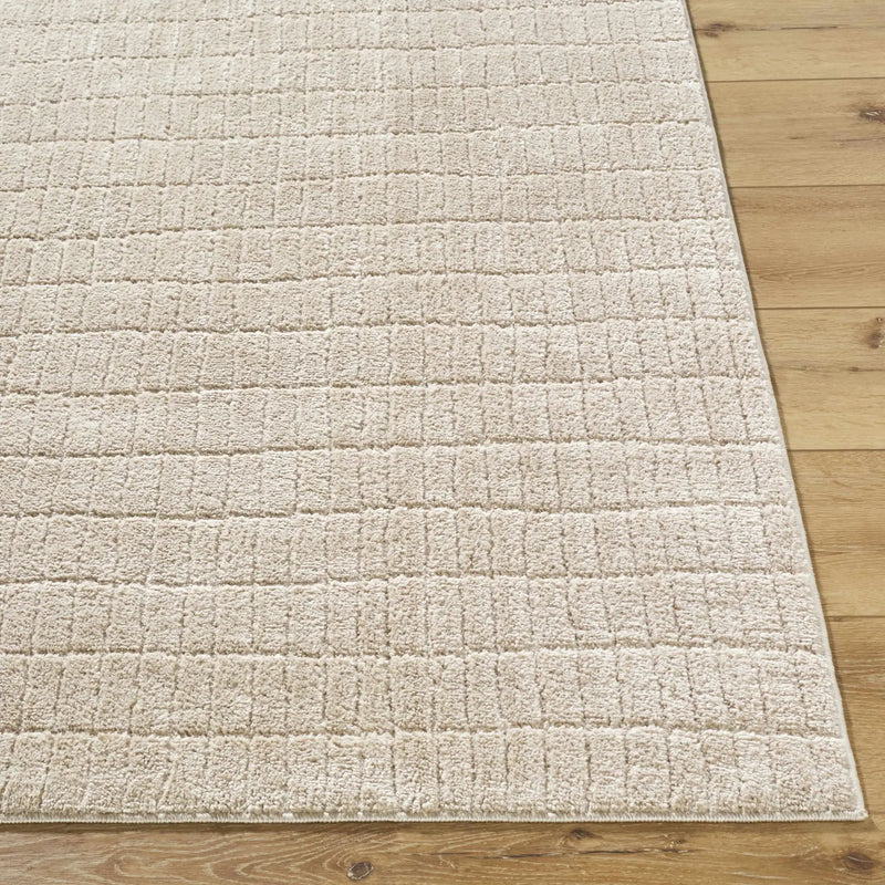 Cascade Dark Beige Area Rug by Boutique Rugs