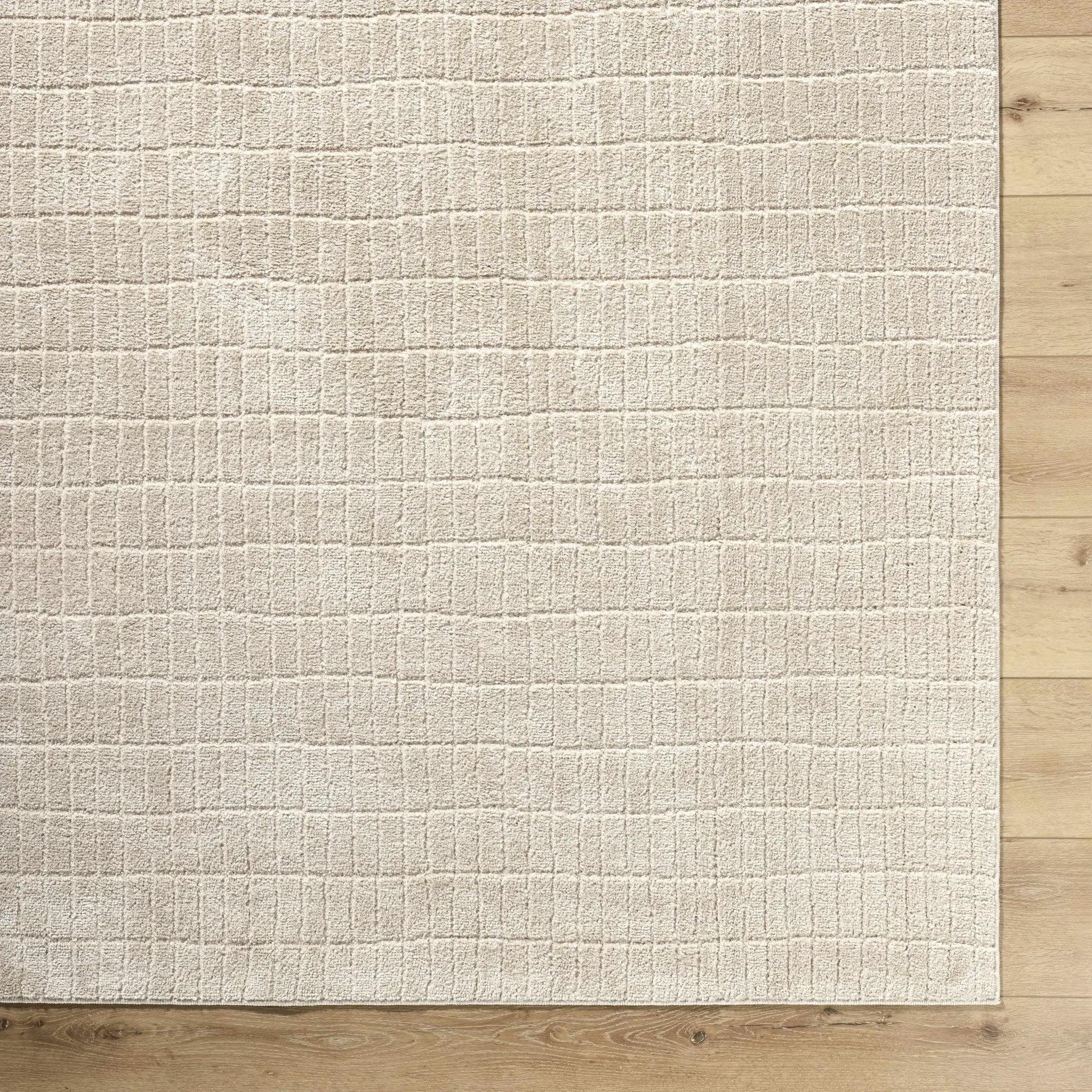 Cascade Dark Beige Area Rug by Boutique Rugs
