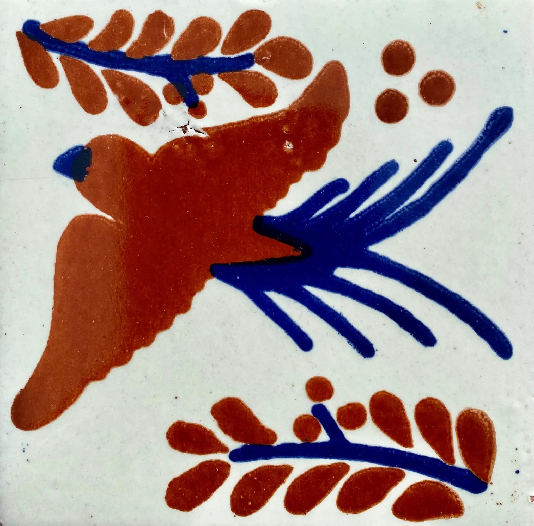 Paloma Terracotta Y Azul by Place Of Clay
