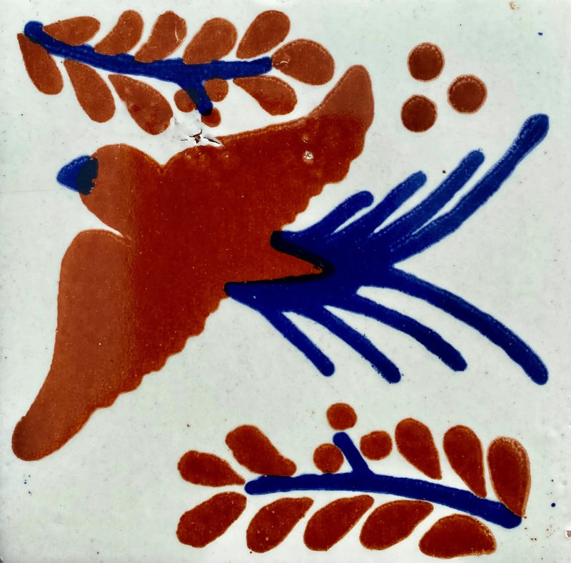Paloma Terracotta Y Azul by Place Of Clay