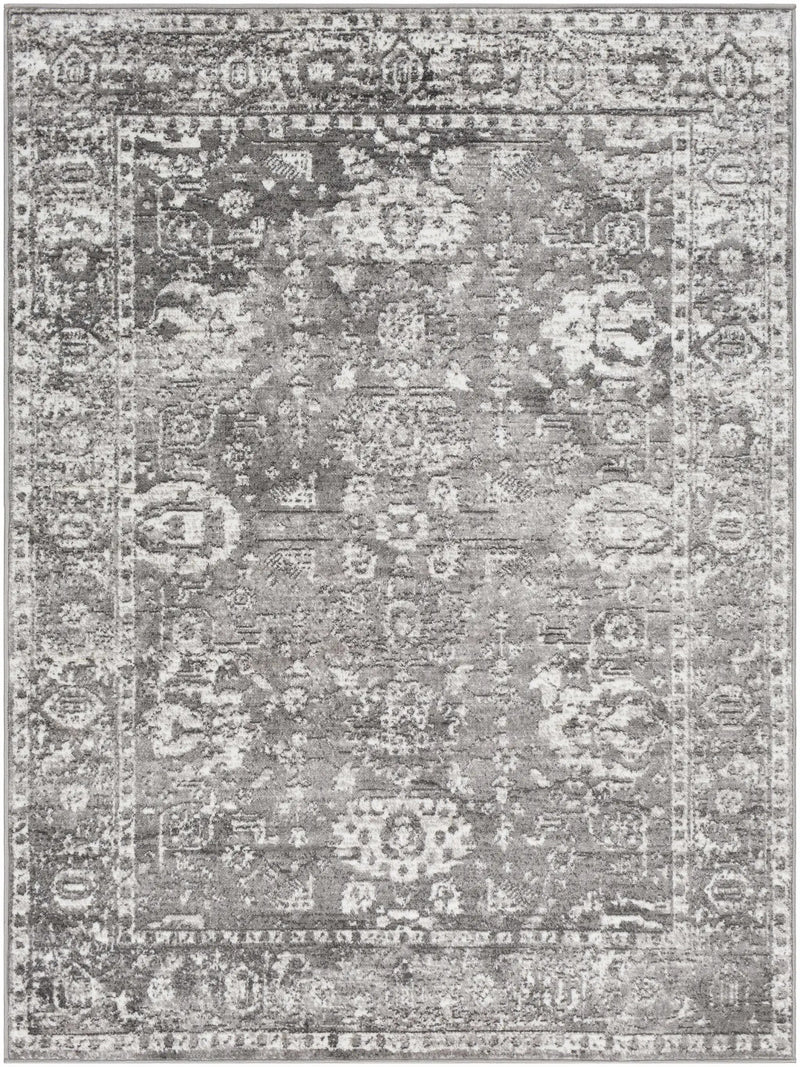 Tripp Distressed Gray Rug by Boutique Rugs