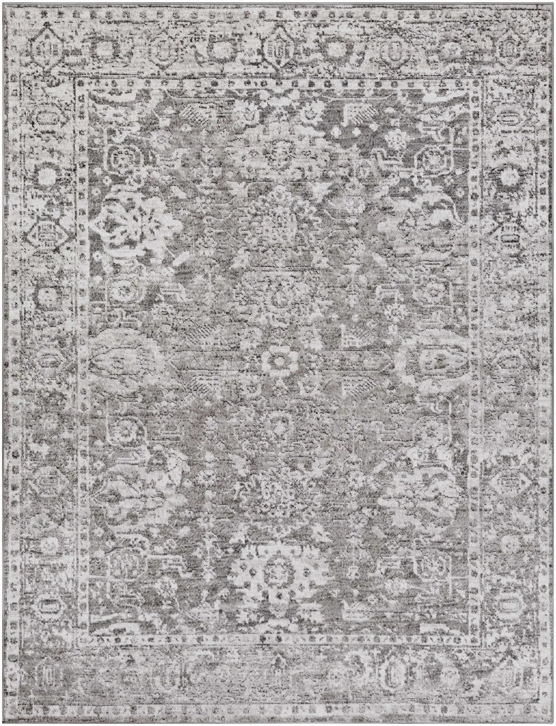 Tripp Distressed Gray Rug by Boutique Rugs