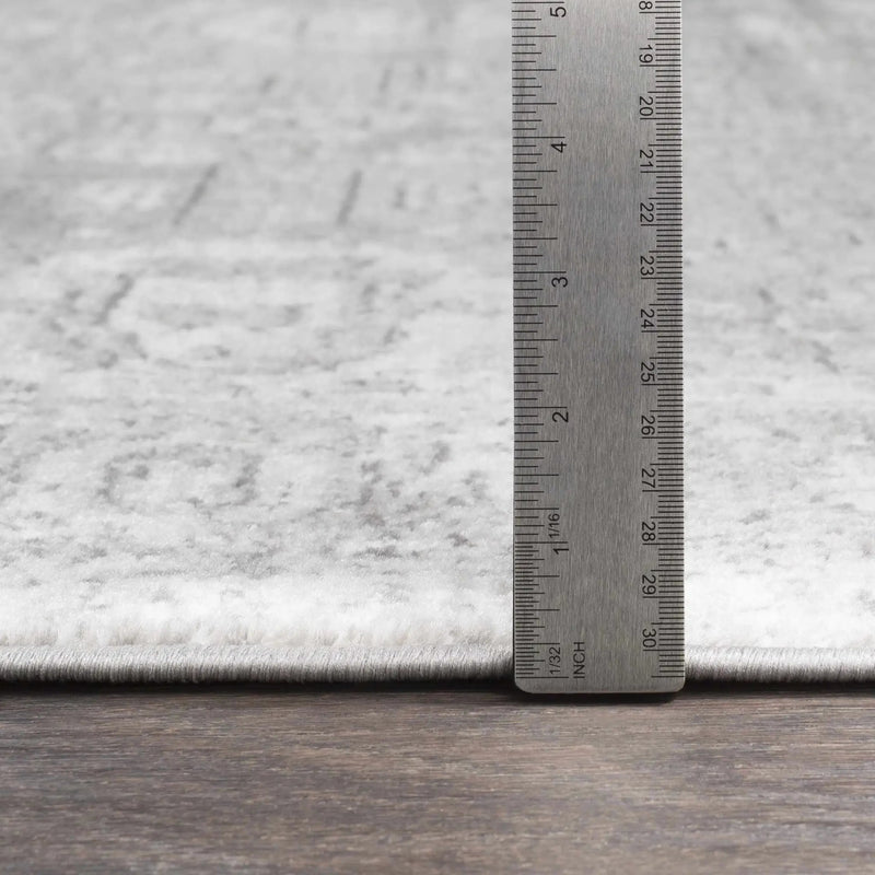 Tripp Distressed Gray Rug by Boutique Rugs