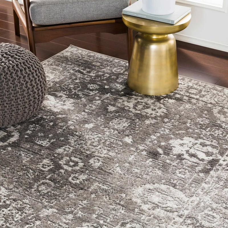 Tripp Distressed Gray Rug by Boutique Rugs