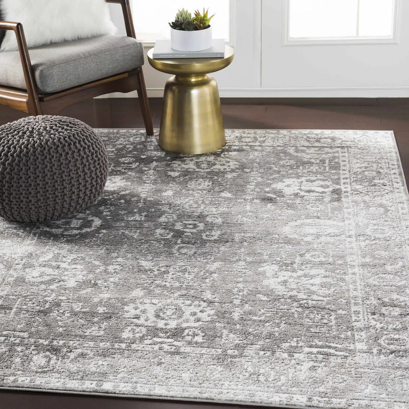 Tripp Distressed Gray Rug by Boutique Rugs