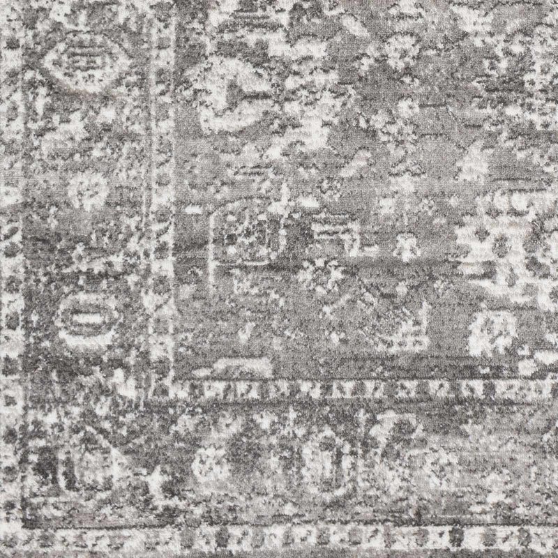 Tripp Distressed Gray Rug by Boutique Rugs