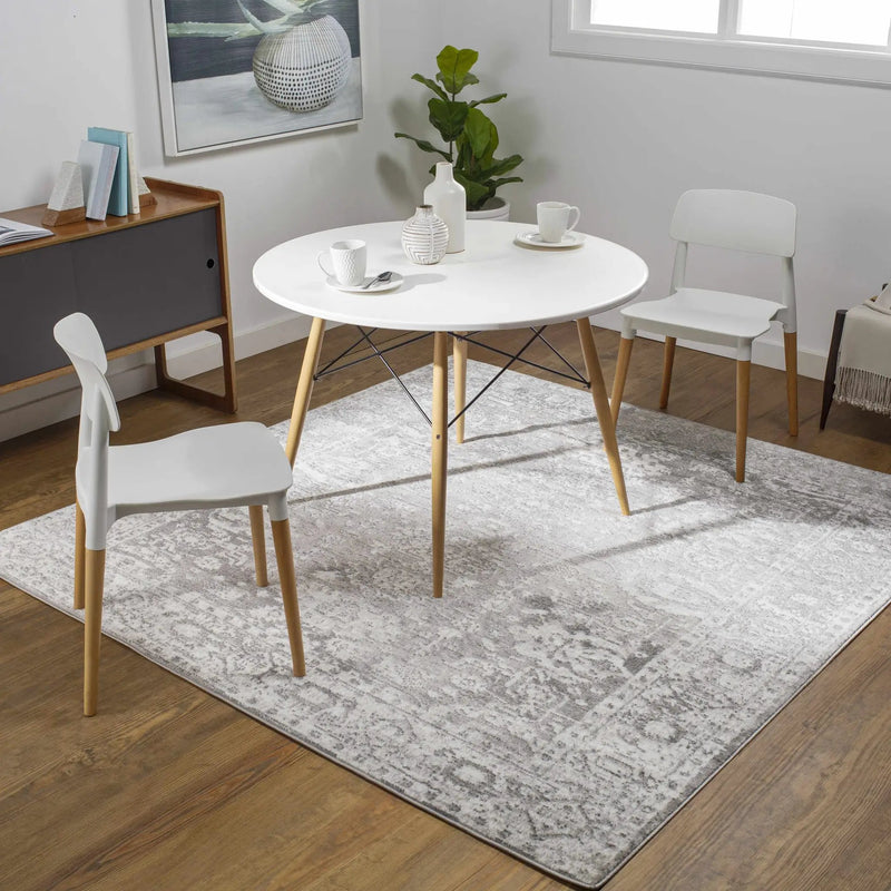 Tripp Distressed Gray Rug by Boutique Rugs