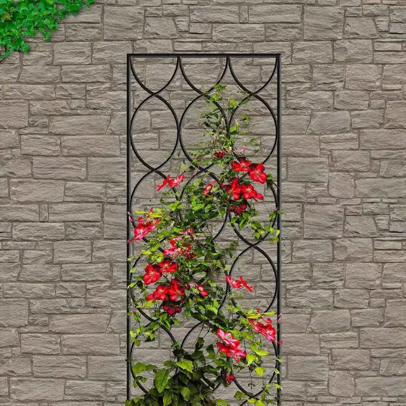 Modern 6-Ft Outdoor Metal Garden Trellis with Black Powder Coated Finish by HomePacific