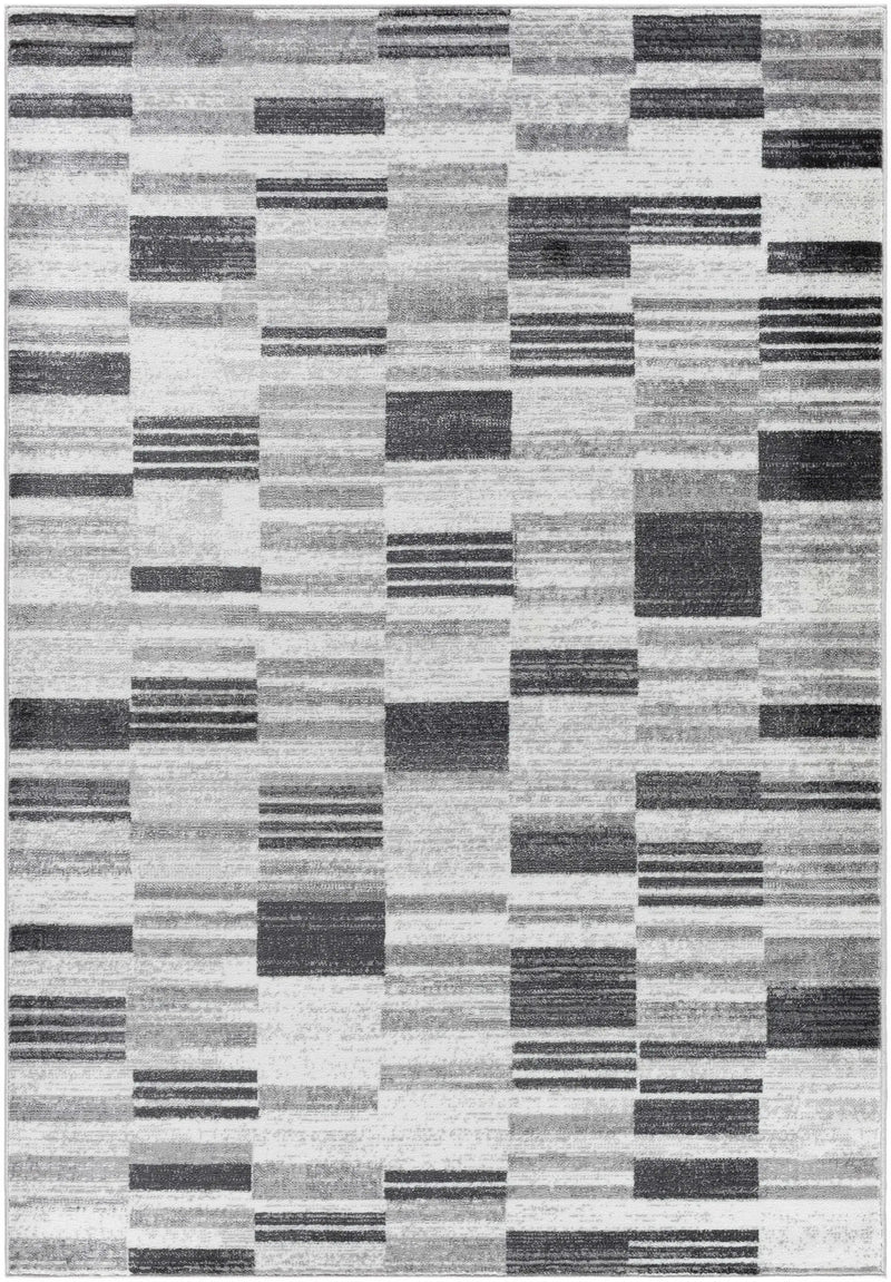 Tehya Gray Area Rug by Boutique Rugs
