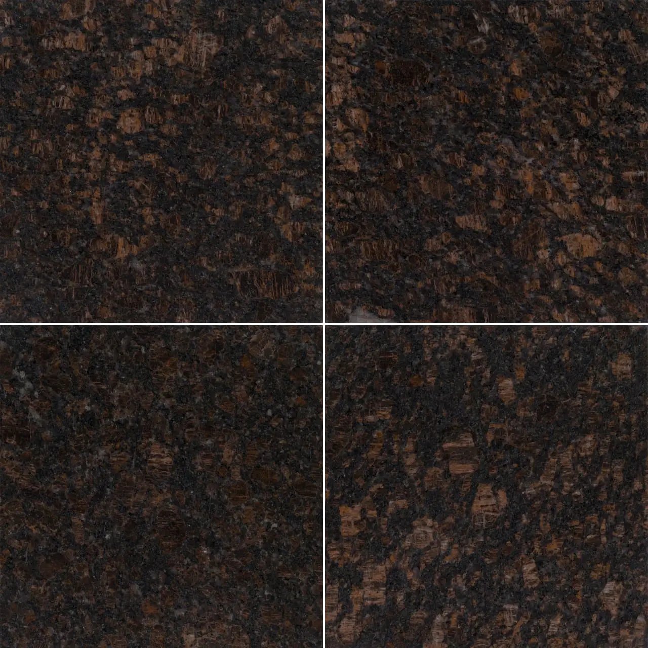 Tan Brown Polished Granite Tiles 12x12 close up