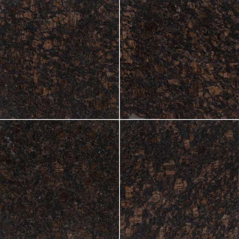 Tan Brown Polished Granite Tiles 12x12 close up