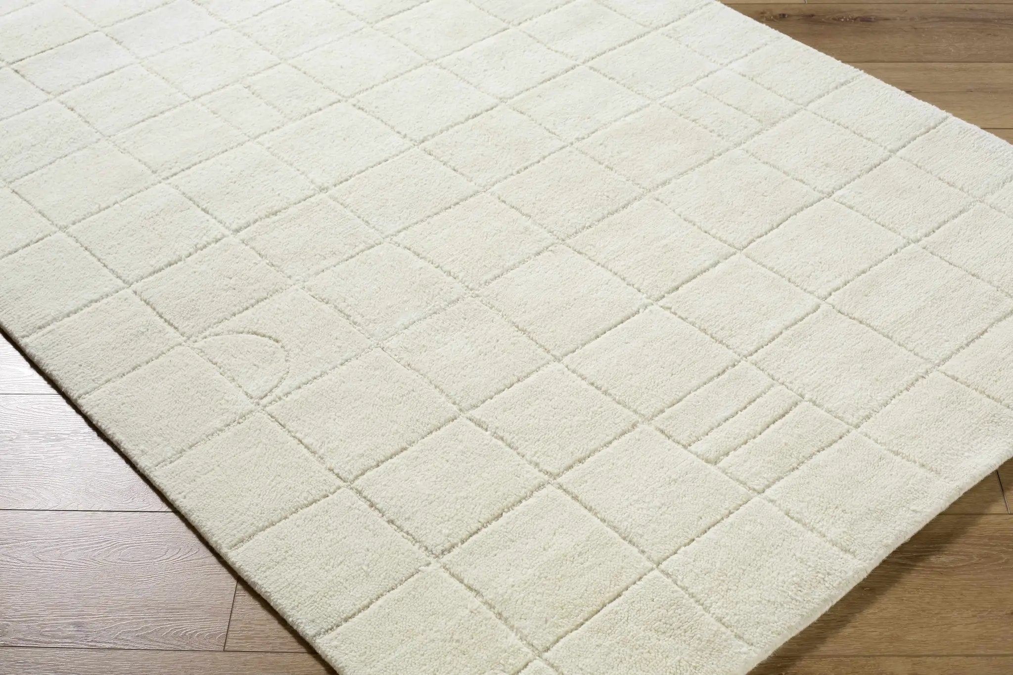 Tuuka Silver Beige Area Rug - Clearance by Boutique Rugs