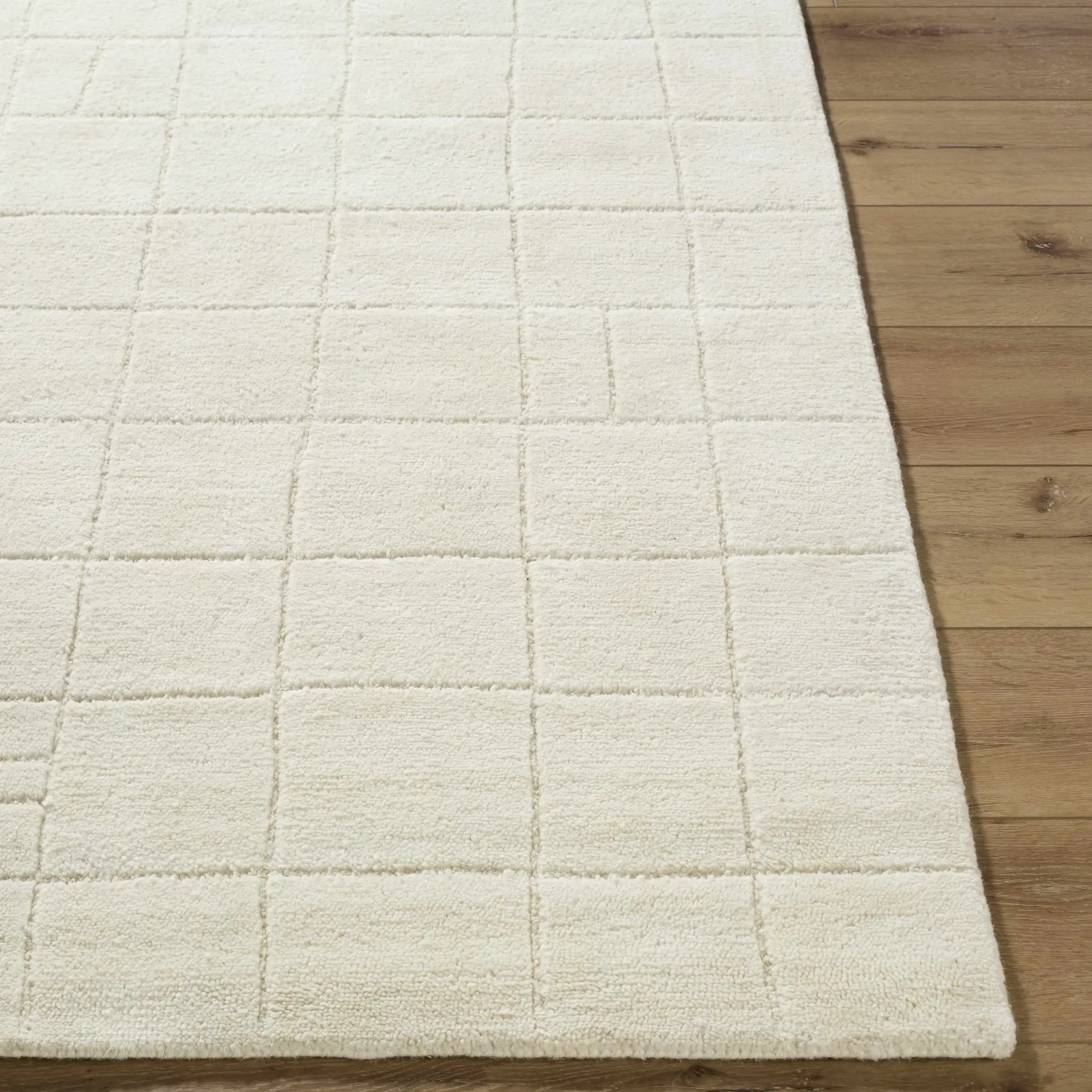 Tuuka Silver Beige Area Rug - Clearance by Boutique Rugs