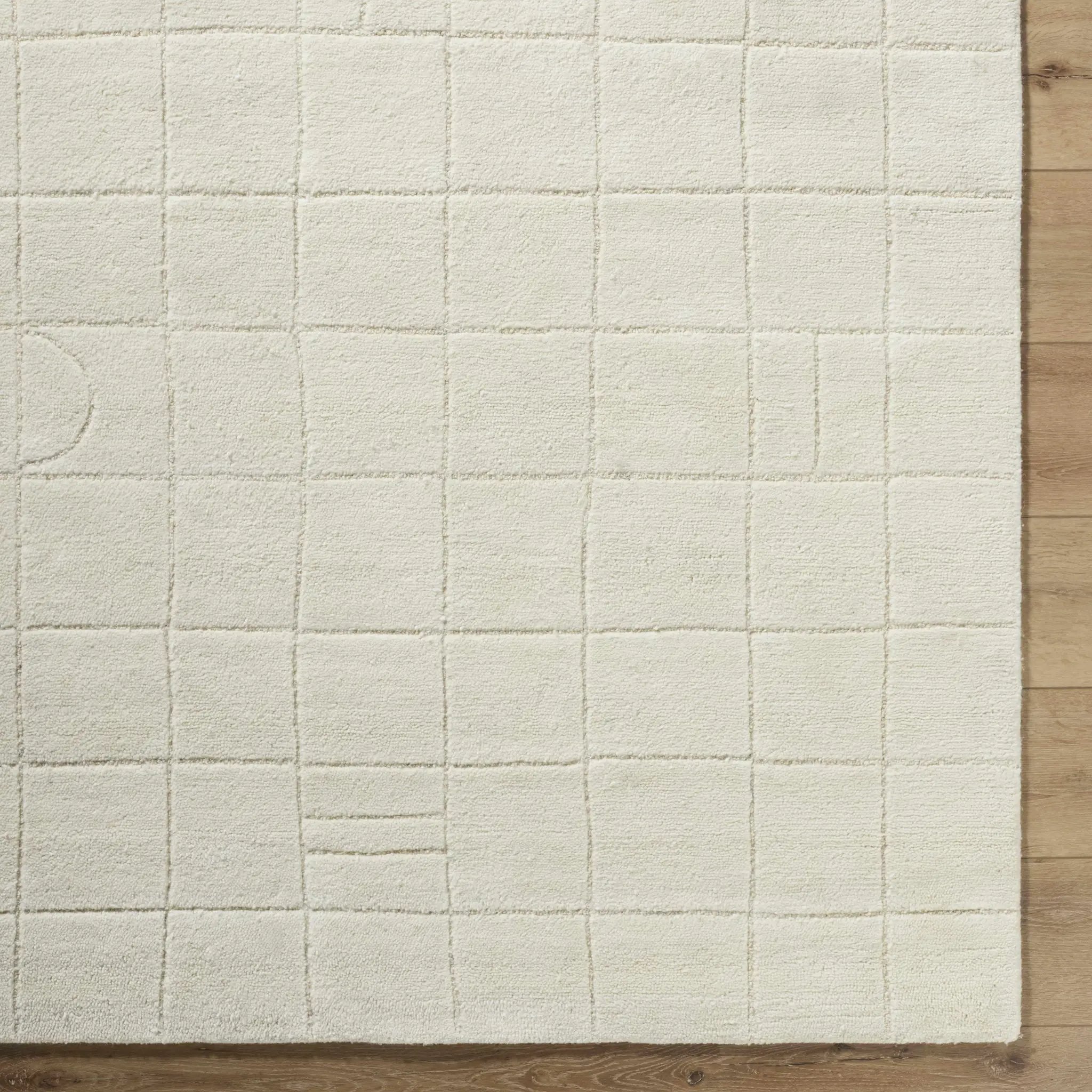 Tuuka Silver Beige Area Rug - Clearance by Boutique Rugs