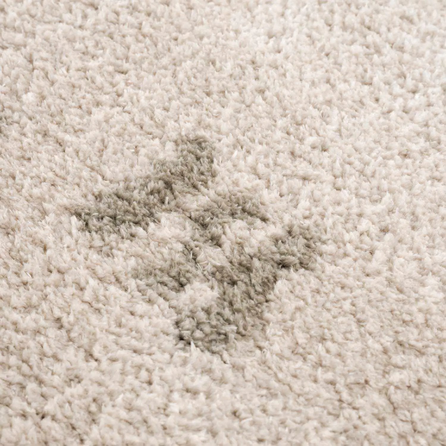 Azriel Gray Washable Area Rug by Boutique Rugs