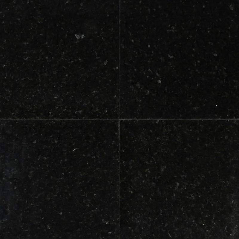 Ubatuba Polished Granite Tiles 12x12 by MSI Surfaces