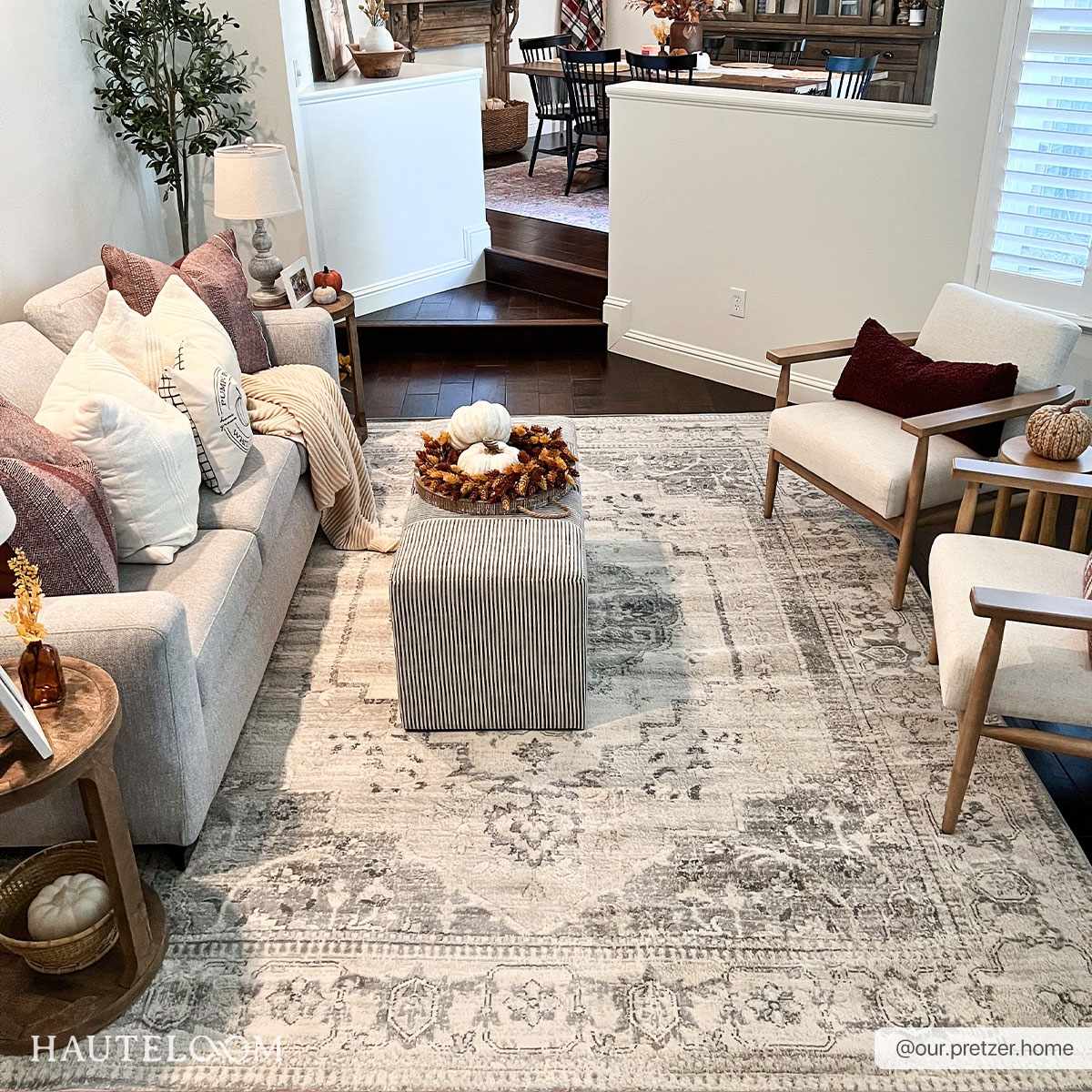 Tigried Ivory & Gray 2315 Area Rug - Clearance by Boutique Rugs