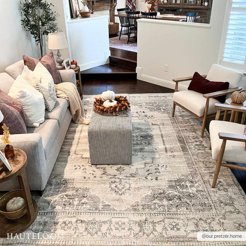 Tigried Ivory & Gray 2315 Area Rug - Clearance by Boutique Rugs