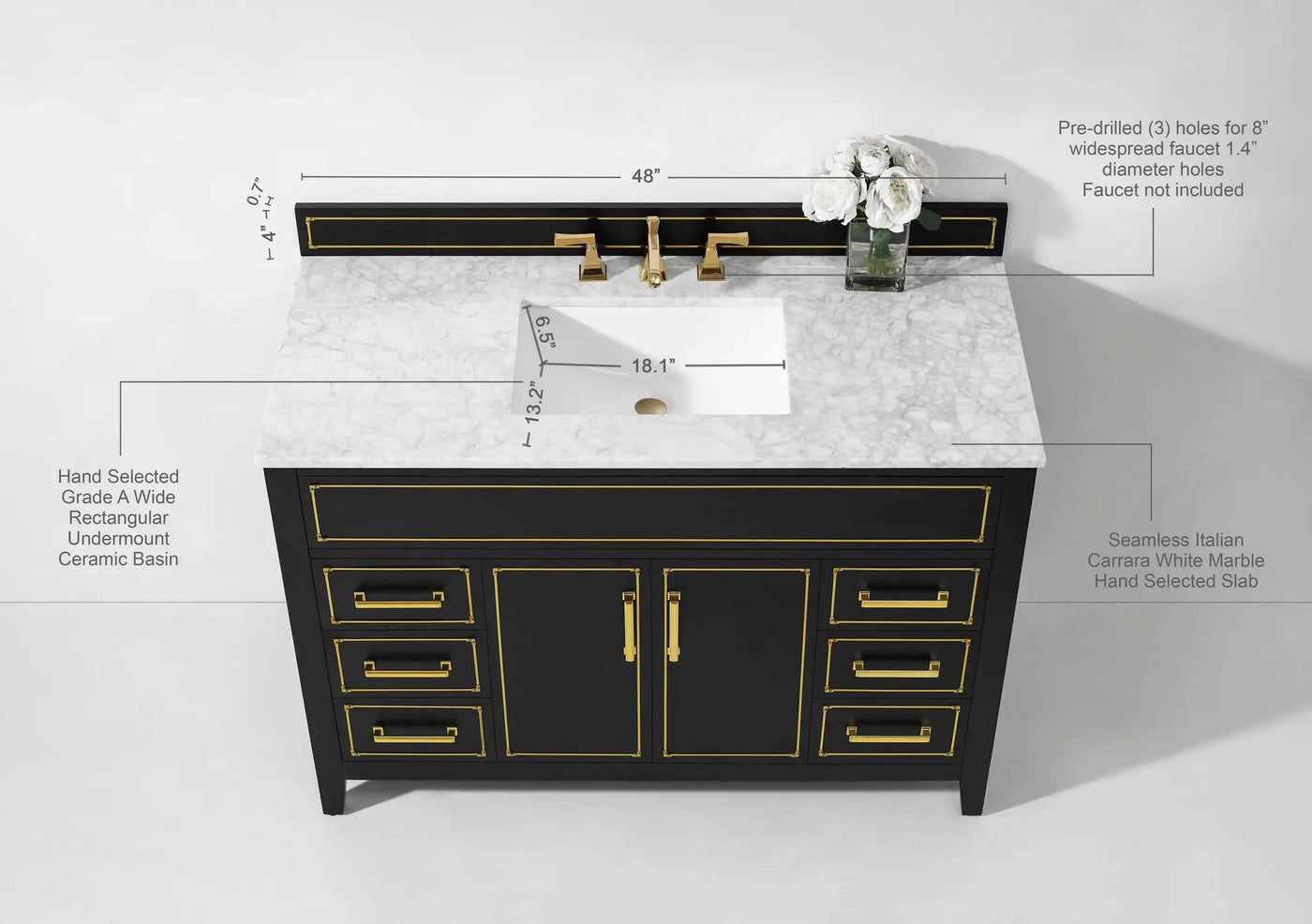 Aspen 48" Bath Vanity Set by Ancerre Designs