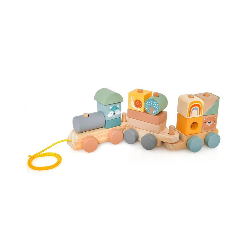 Wooden Toy Train Set with Stacking Wooden Blocks and Cute Animal Patterns by DirectDeals