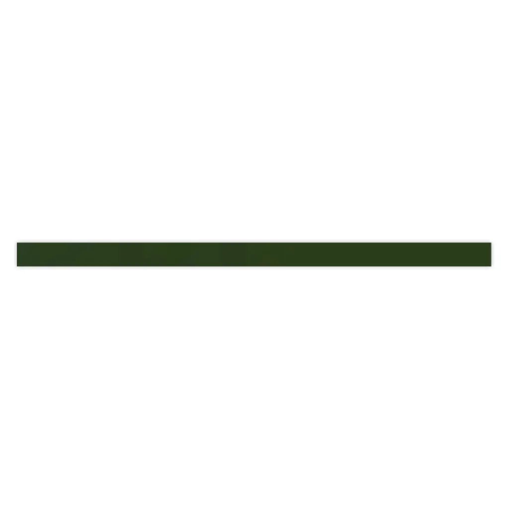 Deep Forest Green 0.6x12 Glossy Porcelain Bullnose Tile Trim (10 pack, 0.5 sq ft/case) by Apollo Tile