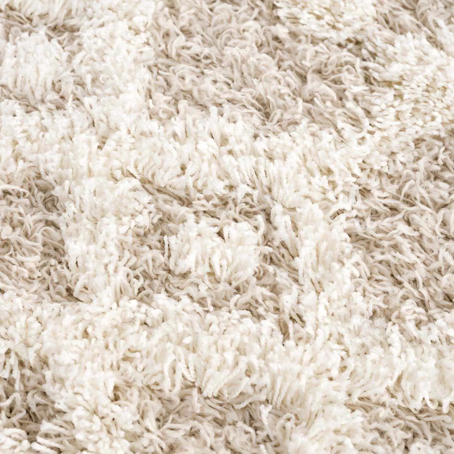 Prompton Cream Plush Area Rug by Boutique Rugs
