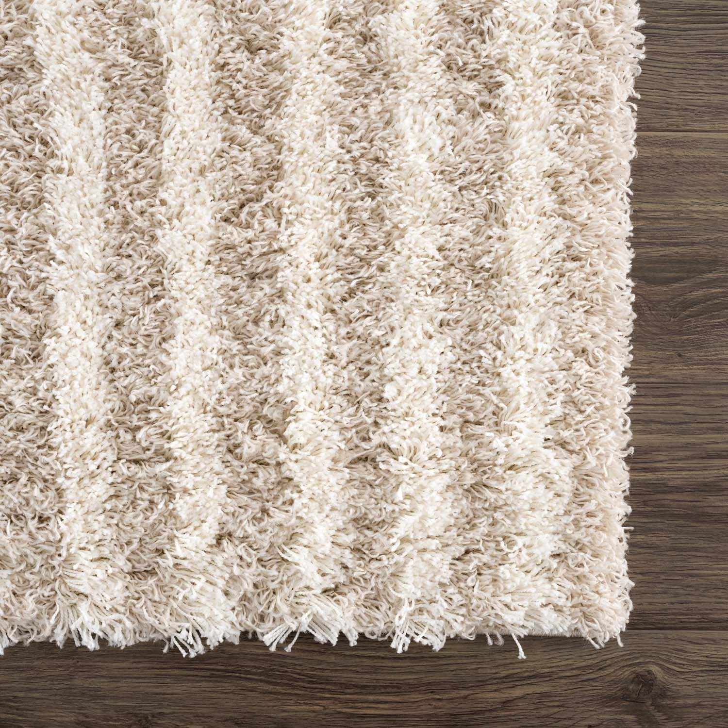 Emmly Shag Area Rug by Boutique Rugs