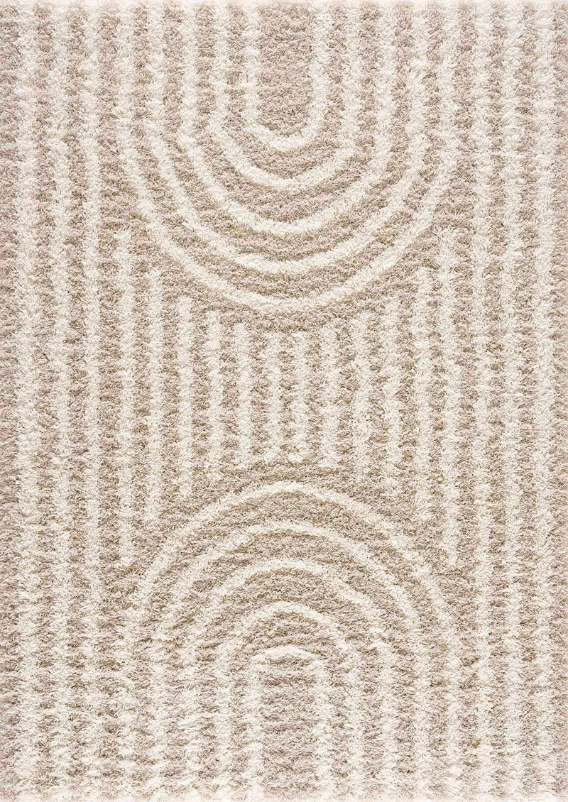 Emmly Shag Area Rug by Boutique Rugs