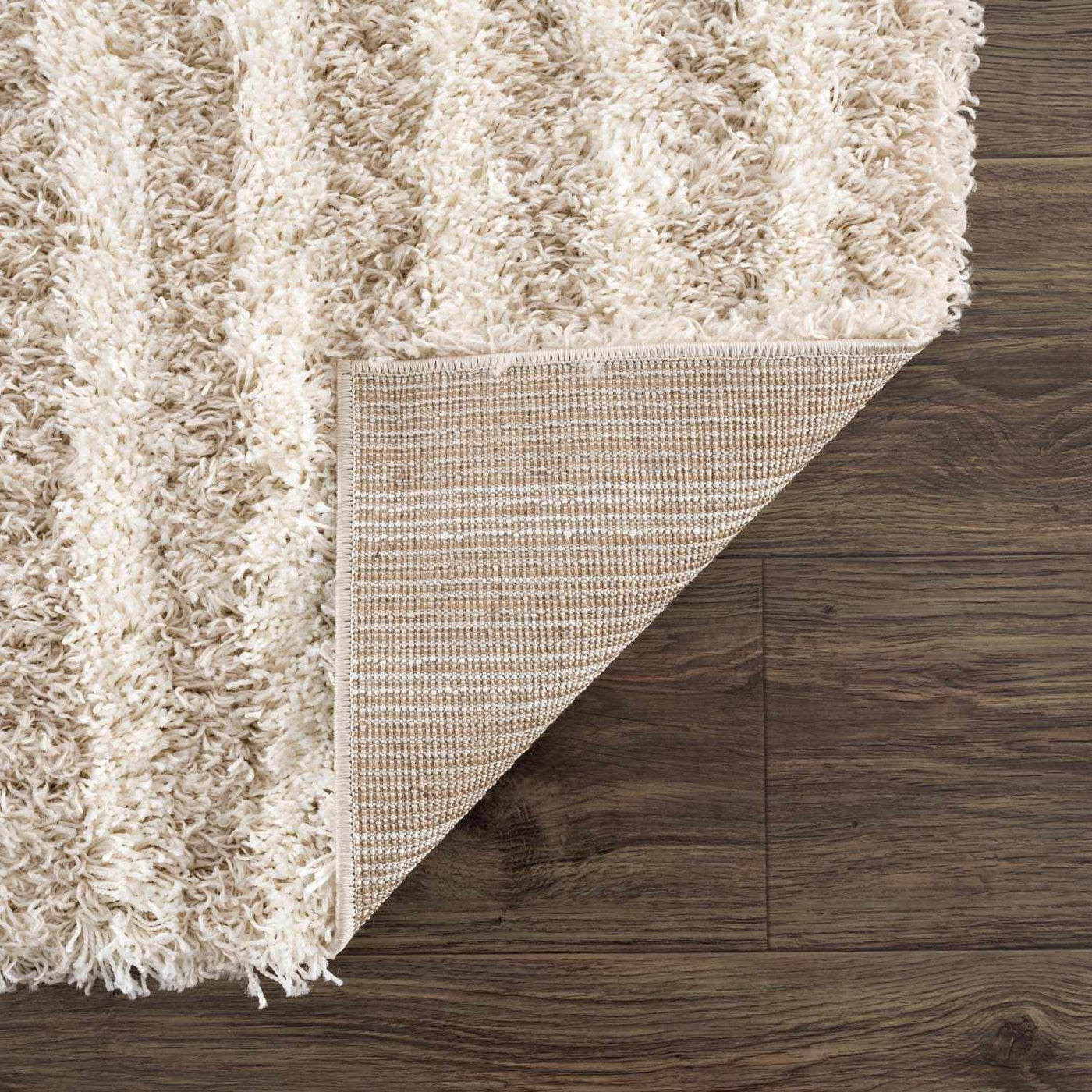 Emmly Shag Area Rug by Boutique Rugs