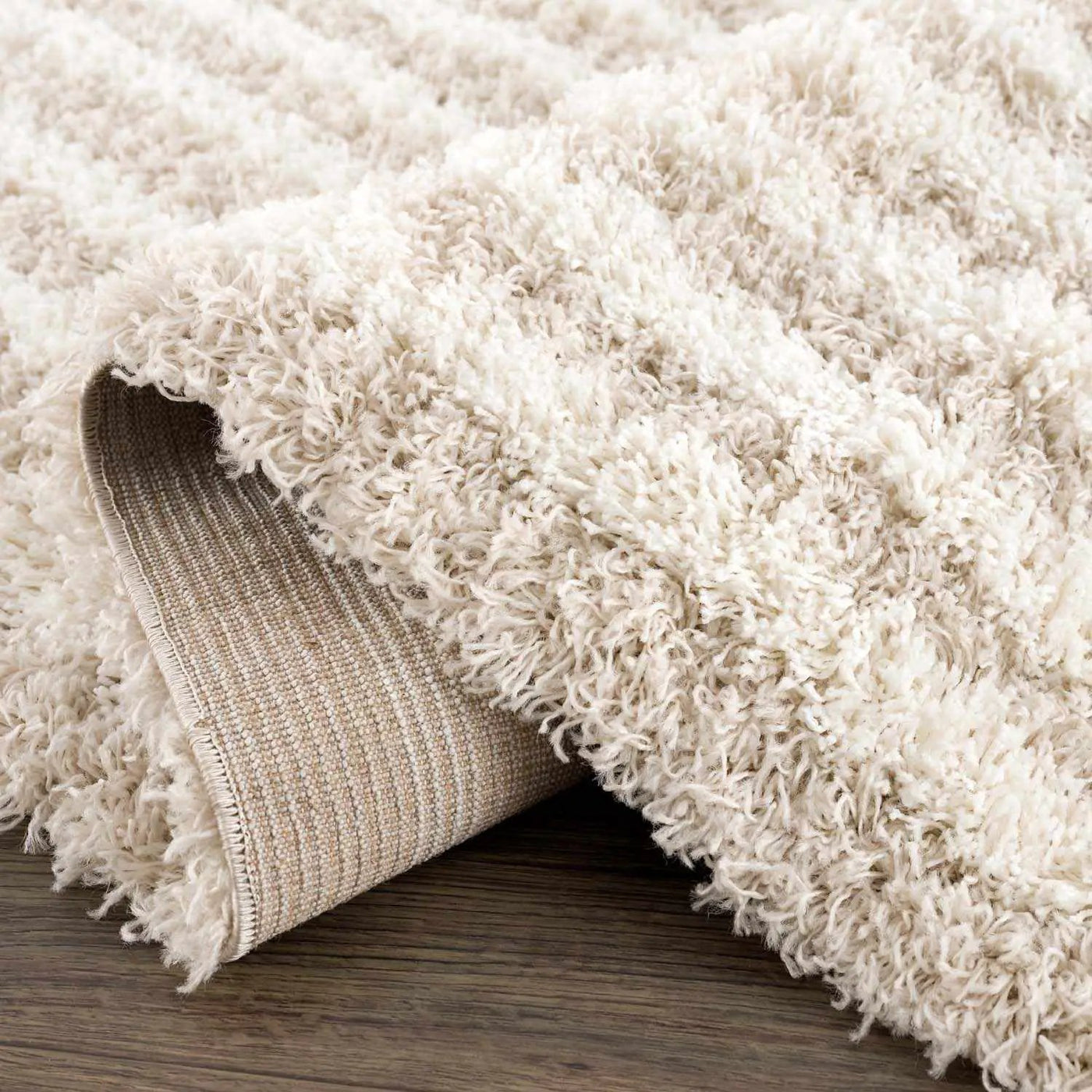 Emmly Shag Area Rug by Boutique Rugs