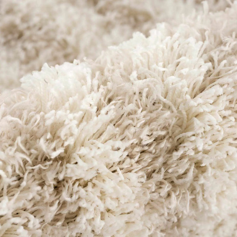 Emmly Shag Area Rug by Boutique Rugs