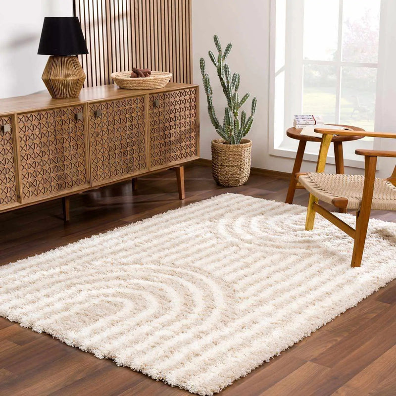 Emmly Shag Area Rug by Boutique Rugs